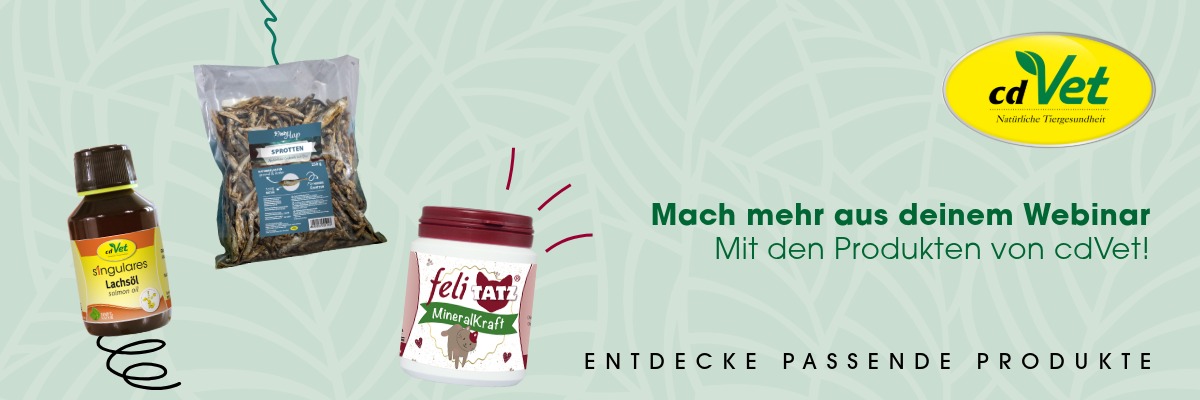 Kräuter, Pflanze